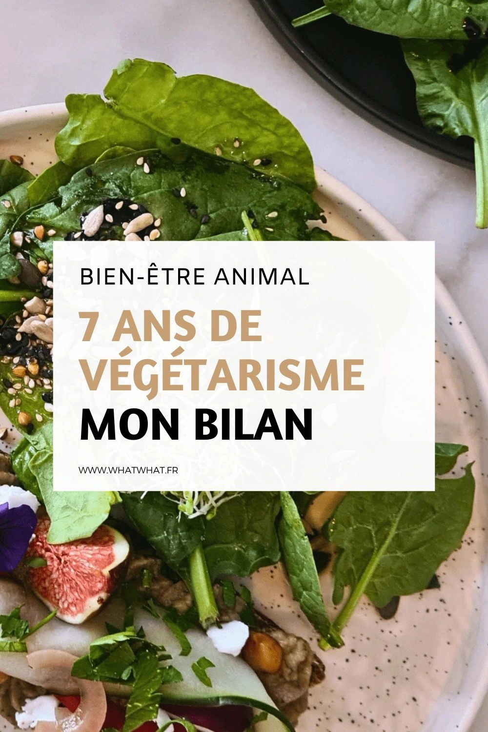 7 ans de végétarisme mon bilan