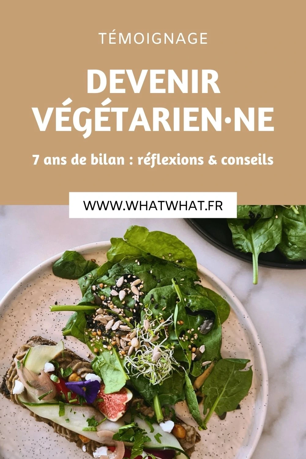 Devenir végétarienne réflexions et conseils après 7 ans