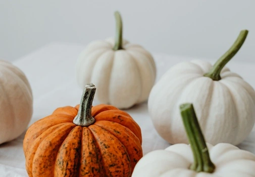 Halloween écolo