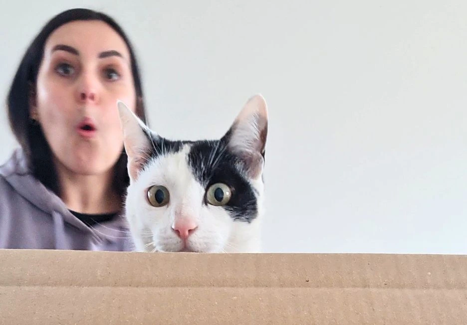 végétarienne mes contradictions